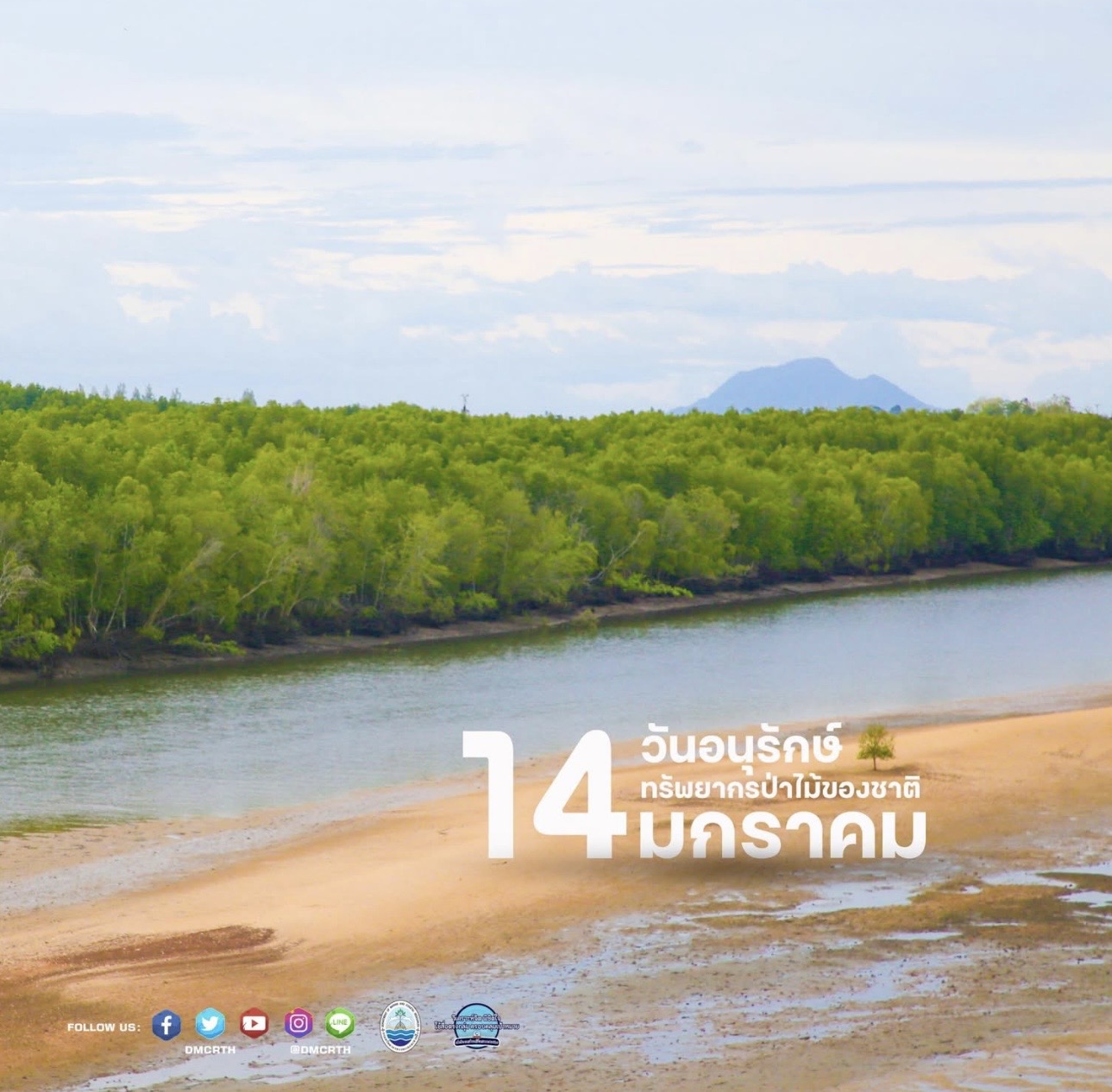 14 มกราคม วันอนุรักษ์ทรัพยากรป่าไม้ของชาติ (National Forest Resource Conservation Day)