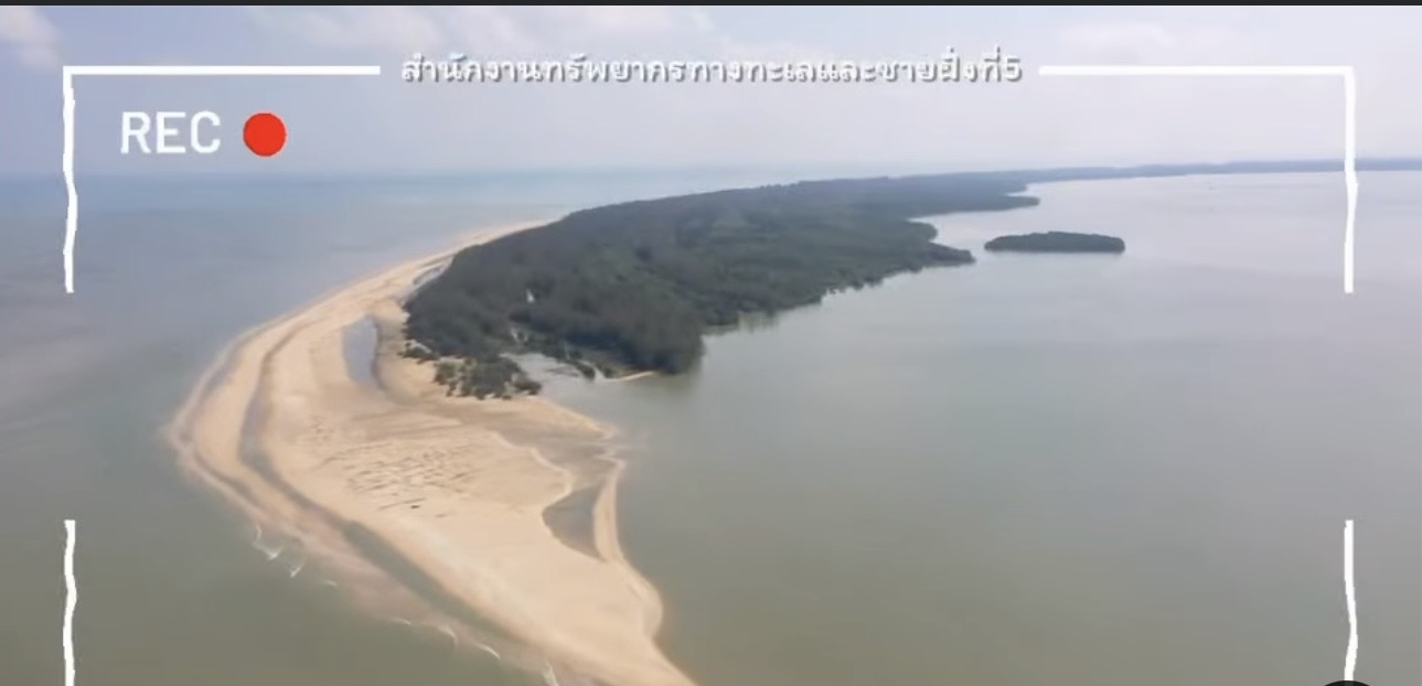 กรมทะเล ลาดตระเวนป้องกันรักษาป่าชายเลนเชิงคุณภาพ