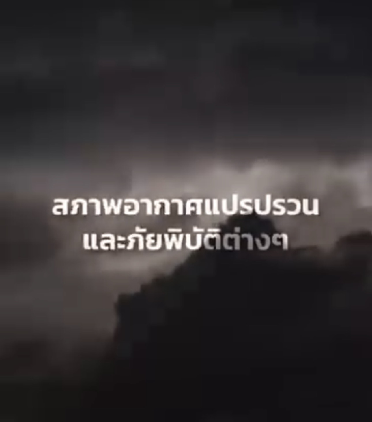 กรมทะเล เดินหน้าคุ้มครองป่าชายเลนสตูล
