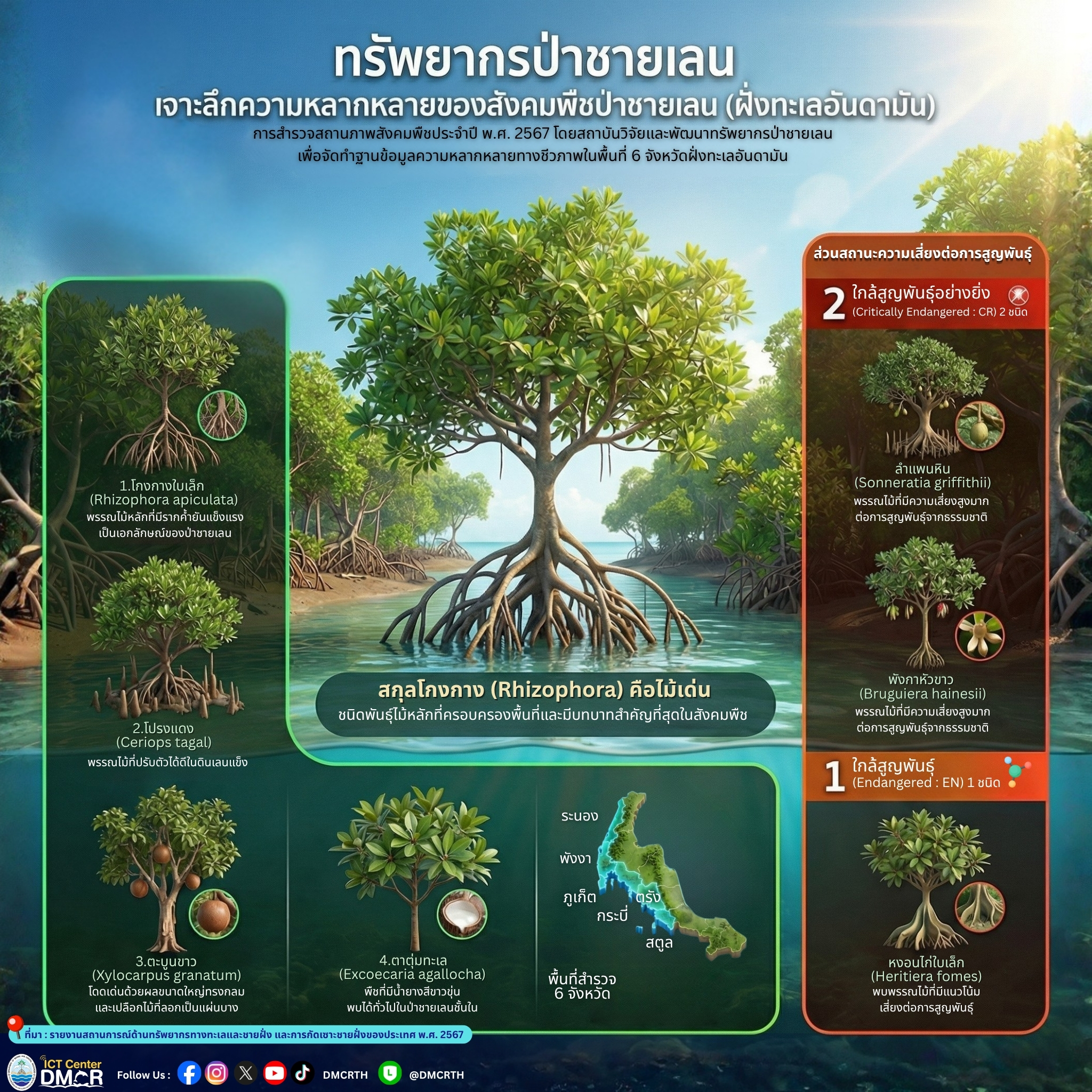 เจาะลึกความหลากหลายของสังคมพืชป่าชายเลน ฝั่งทะเลอันดามัน ปี 2567