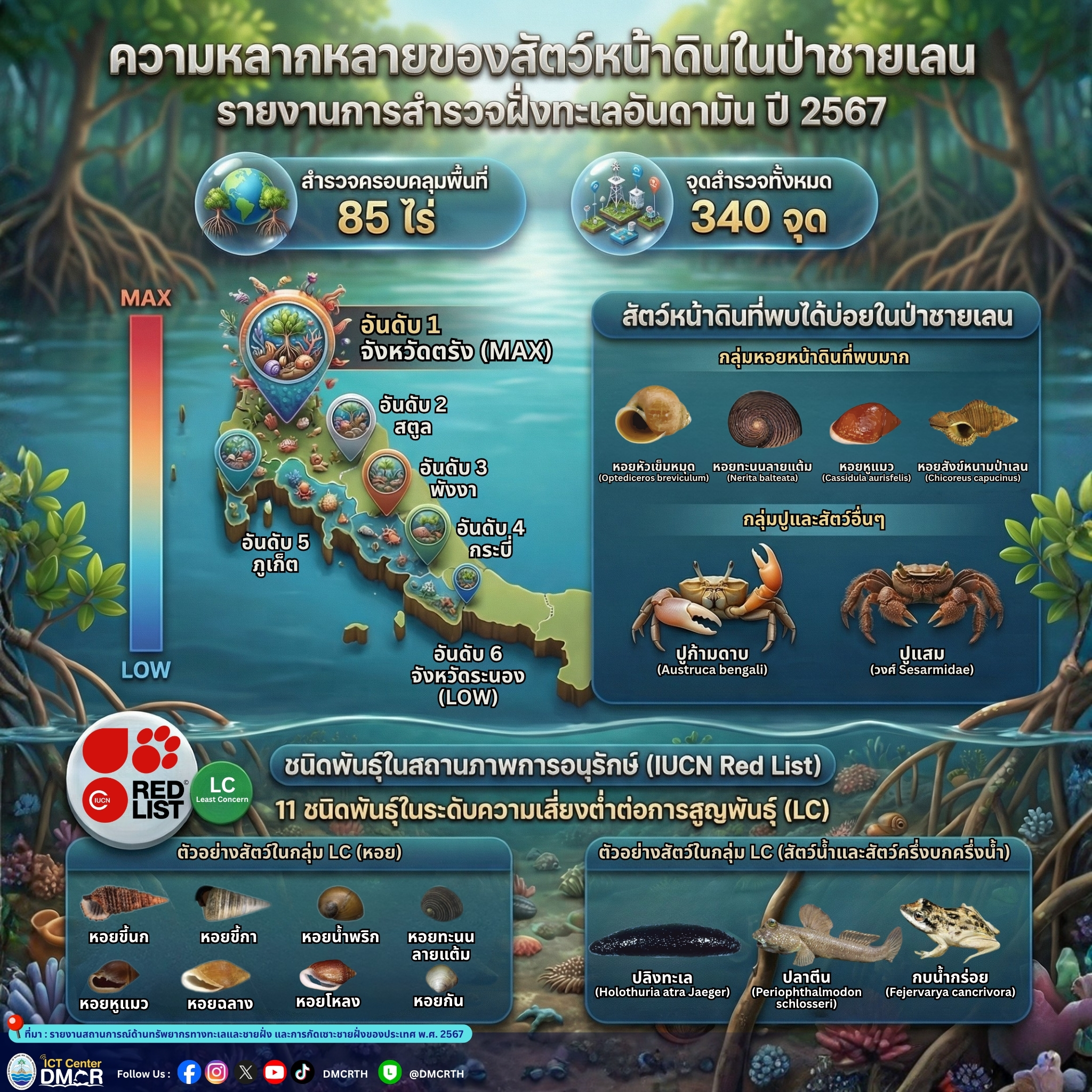 เจาะลึกความหลากหลายของสัตว์หน้าดินในป่าชายเลน ฝั่งทะเลอันดามัน ปี 2567