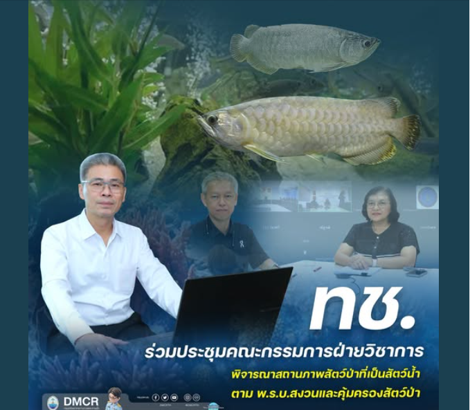ทช. ร่วมประชุมคณะกรรมการฝ่ายวิชาการ พิจารณาสถานภาพสัตว์ป่าที่เป็นสัตว์น้ำ ตาม พ.ร.บ.สงวนและคุ้มครองสัตว์ป่า