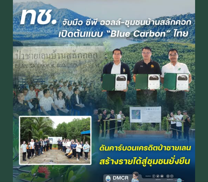 ทช. จับมือ ซีพี ออลล์–ชุมชนบ้านสลักคอก เปิดต้นแบบ “Blue Carbon” ไทย ดันคาร์บอนเครดิตป่าชายเลน สร้างรายได้สู่ชุมชนยั่งยืน