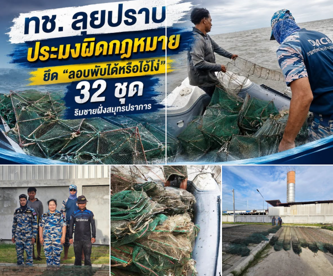 ทช. ลุยปราบประมงผิดกฎหมาย ยึด “ลอบพับได้หรือไอ้โง่” 32 ชุด ริมชายฝั่งสมุทรปราการ