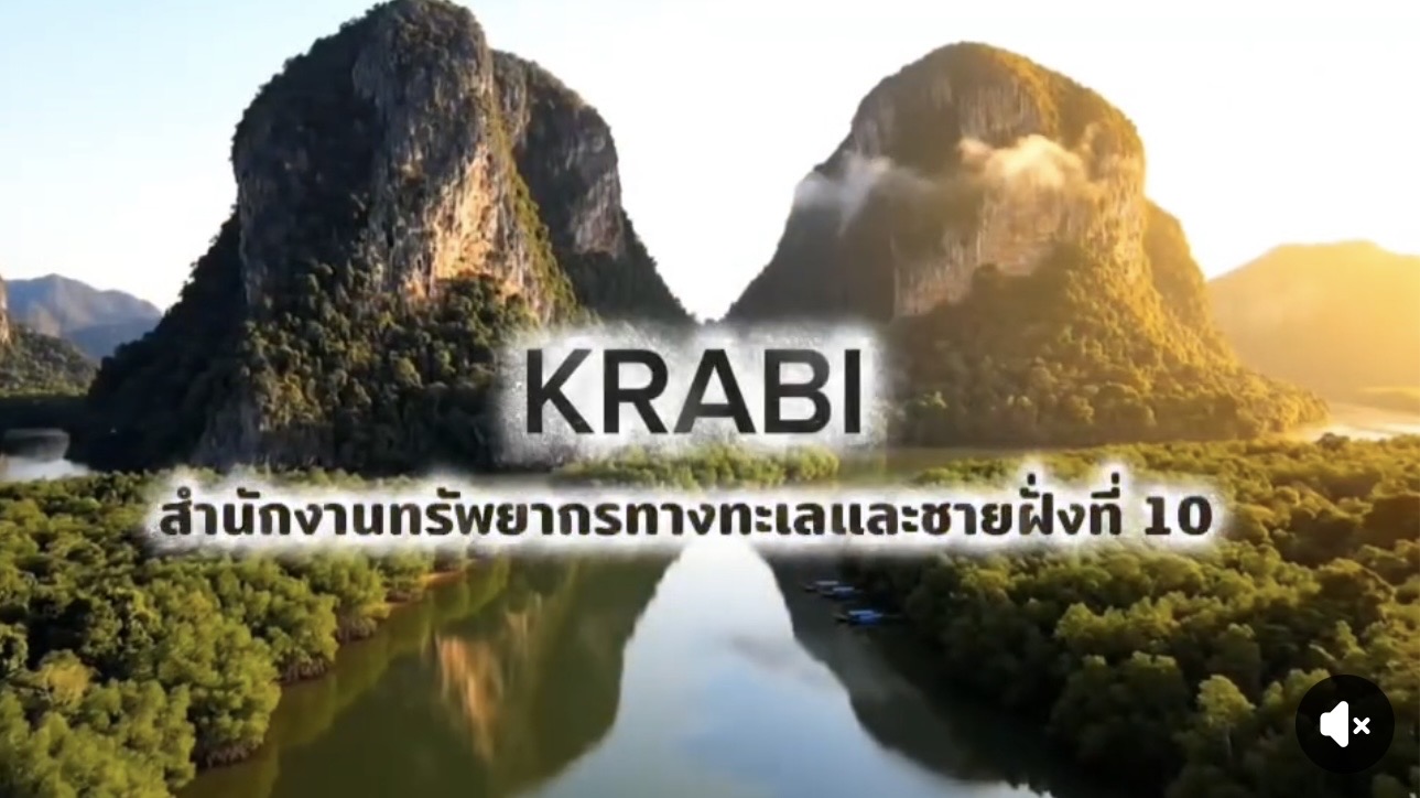 เปิด 3 มหัศจรรย์เมืองกระบี่ เที่ยวธรรมชาติอย่างรู้คุณค่า ควบคู่การอนุรักษ์ทะเลและชายฝั่งอย่างยั่งยืน
