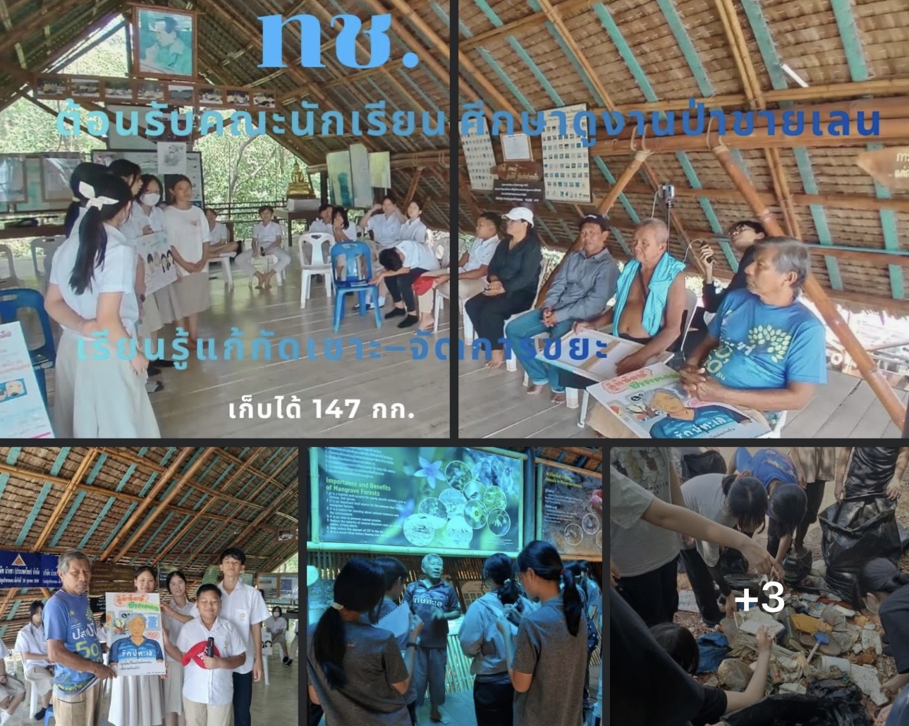ทช. ต้อนรับคณะนักเรียนศึกษาดูงานป่าชายเลน เรียนรู้แก้กัดเซาะ–จัดการขยะ เก็บได้ 147 กก.