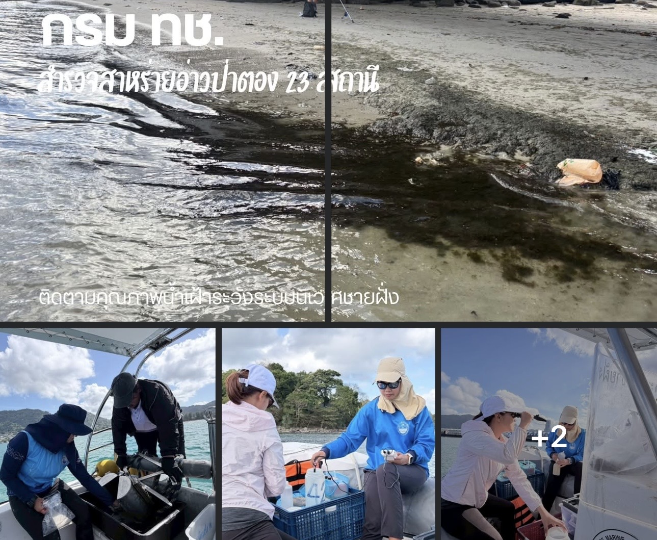 กรม ทช. สำรวจสาหร่ายอ่าวป่าตอง 23 สถานี ติดตามคุณภาพน้ำเฝ้าระวังระบบนิเวศชายฝั่ง