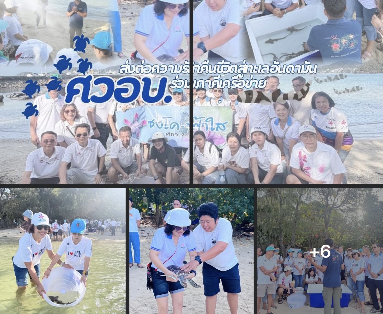 กรมทะเล ผนึกภาคีเครือข่าย จัดกิจกรรมอนุรักษ์พันธุ์สัตว์น้ำ ปล่อยปลาฉลามกบ–เต่าตนุ คืนสู่ทะเลอันดามัน