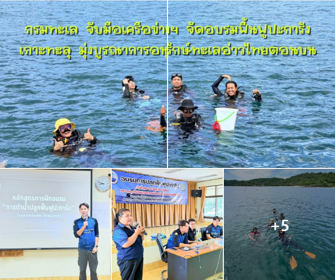กรมทะเล จับมือเครือข่ายฯ จัดอบรมฟื้นฟูปะการังเกาะทะลุ มุ่งบูรณาการอนุรักษ์ทะเลอ่าวไทยตอนบน