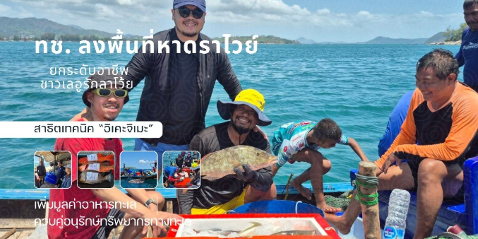 ทช. ลงพื้นที่หาดราไวย์ ยกระดับอาชีพชาวเลอูรักลาโว้ย สาธิตเทคนิค “อิเคะจิเมะ” เพิ่มมูลค่าอาหารทะเล ควบคู่อนุรักษ์ทรัพยากรทางทะเล