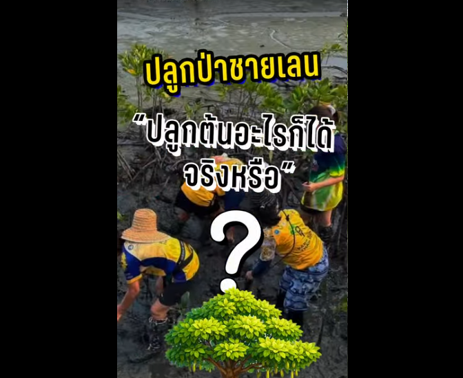 Do & Don’t ปลูกป่าชายเลน “ปลูกต้นอะไรก็ได้ จริงหรือ?”