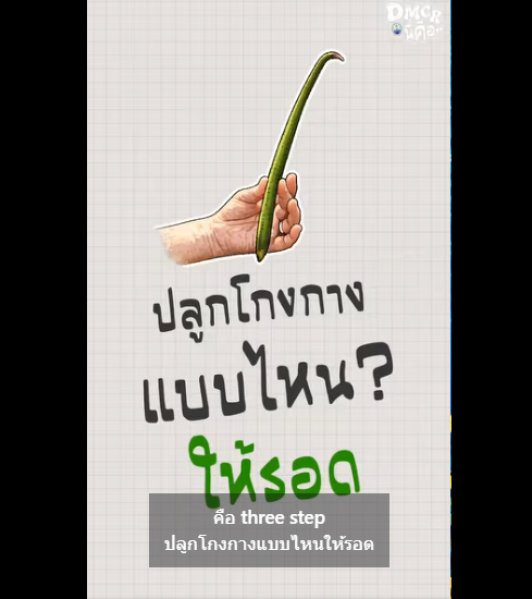 ก่อนหน้านี้เราได้พูดถึงว่า การปลูกป่าชายเลนไม่จำเป็นต้องปลูกโกงกางอย่างเดียว เพราะแต่ละพื้นที่เหมาะกับพันธุ์ไม้ต่างกัน