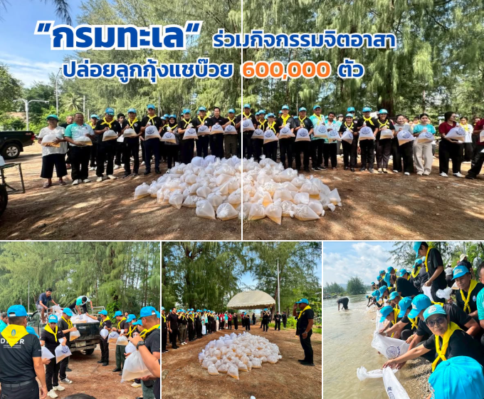 กรมทะเล ร่วมกิจกรรมจิตอาสาปล่อยลูกกุ้งแชบ๊วย 600,000 ตัว ถวายเป็นพระราชกุศลฯ ฟื้นฟูความอุดมสมบูรณ์ทรัพยากรสัตว์น้ำ