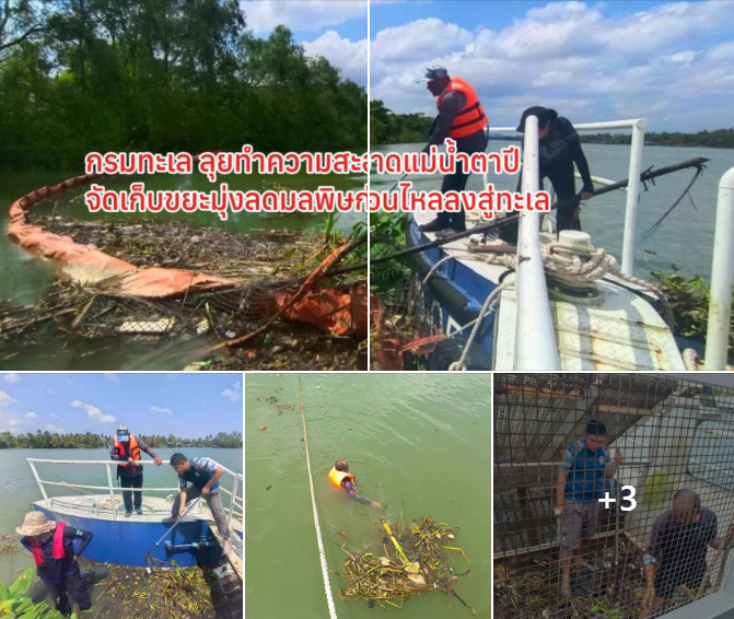 กรมทะเล ลุยทำความสะอาดแม่น้ำตาปี จัดเก็บขยะมุ่งลดมลพิษก่อนไหลลงสู่ทะเล