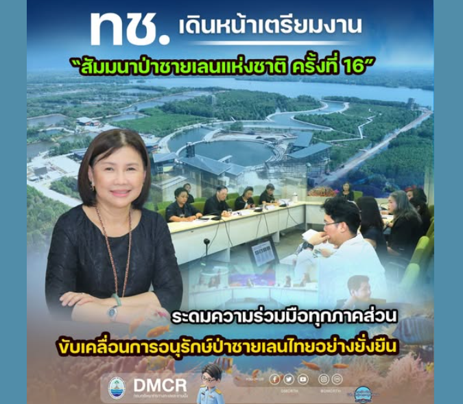 ทช. เดินหน้าเตรียมงาน “สัมมนาป่าชายเลนแห่งชาติ ครั้งที่ 16” ระดมความร่วมมือทุกภาคส่วน ขับเคลื่อนการอนุรักษ์ป่าชายเลนไทยอย่างยั่งยืน
