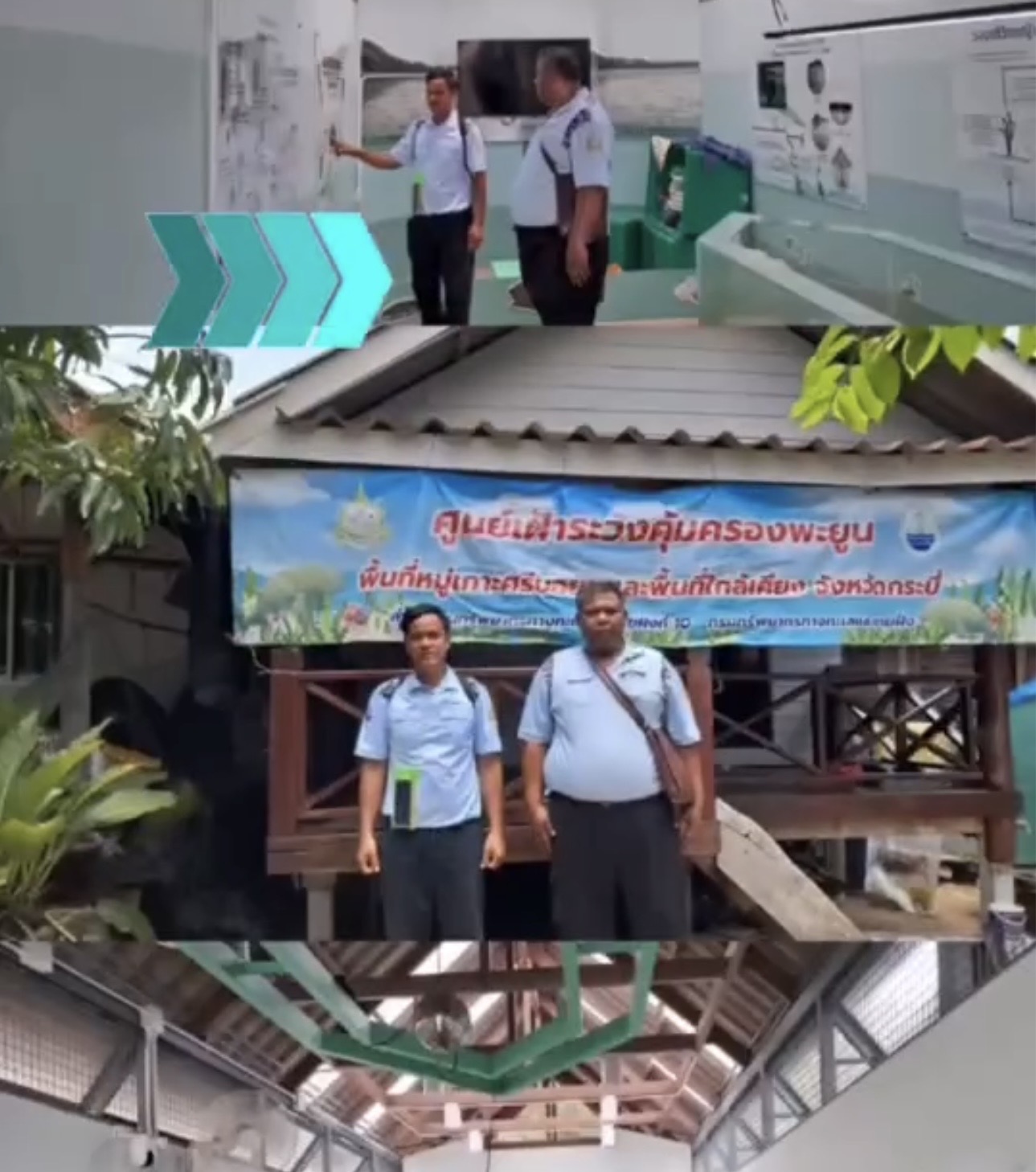 กระบี่เข้ม! เฝ้าระวังพะยูนใกล้ชิด ชวนชุมชนร่วมเป็น ‘อาสาพิทักษ์ทะเล’