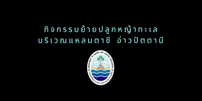 กรมทะเลชายฝั่ง โดยศูนย์วิจัยทรัพยากรทางทะเลและชายฝั่งอ่าวไทยตอนล่าง (สงขลา) ดำเนินกิจกรรมย้ายปลูกหญ้าทะเล ภายใต้โครงการฟื้นฟูระบบนิเวศหญ้าทะเล ประจำปีงบประมาณ พ.ศ. 2569 บริเวณแหลมตาชี จังหวัดปัตตานี