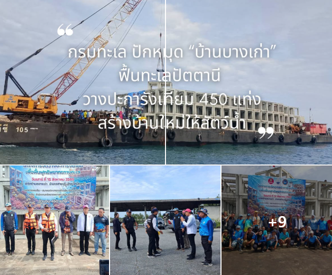 กรมทะเล ปักหมุด “บ้านบางเก่า” ฟื้นทะเลปัตตานี! วางปะการังเทียม 450 แท่ง สร้างบ้านใหม่ให้สัตว์น้ำ