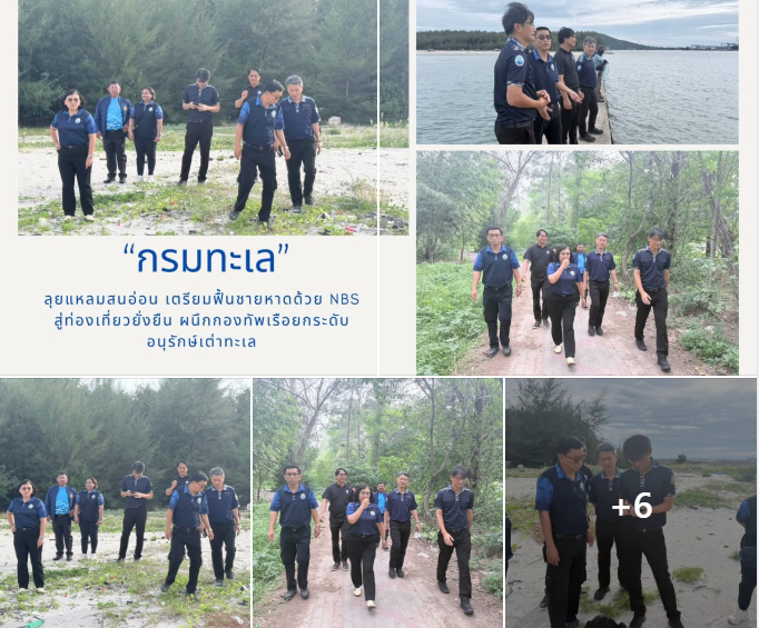 กรมทะเล ลุยแหลมสนอ่อน เตรียมฟื้นชายหาดด้วย NBS สู่ท่องเที่ยวยั่งยืน ผนึกกองทัพเรือยกระดับอนุรักษ์เต่าทะเล