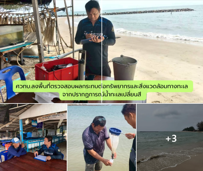 กรมทะเลชายฝั่ง ตรวจสอบผลกระทบต่อทรัพยากรและสิ่งแวดล้อมทางทะเล กรณีได้รับการประสานจากเจ้าหน้าที่สำนักงานทรัพยากรทางทะเลและชายฝั่งที่ 3 จังหวัดเพชรบุรี เรื่องพบน้ำทะเลเปลี่ยนสี บริเวณหาดเจ้าสำราญ อำเภอเมือง จังหวัดเพชรบุรี