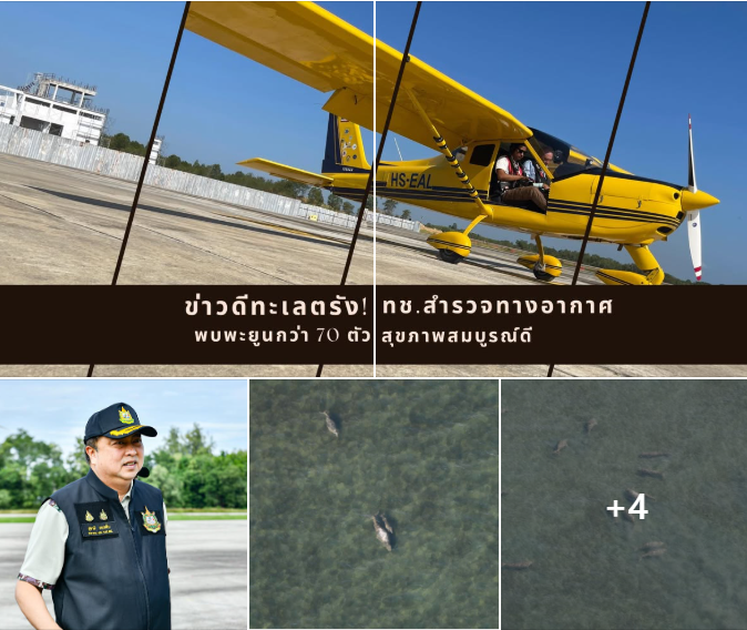 ข่าวดีทะเลตรัง! ทช.สำรวจทางอากาศพบพะยูนกว่า 70 ตัว สุขภาพสมบูรณ์ รมว.ทส. ย้ำ เดินหน้าขับเคลื่อนนโยบายอนุรักษ์สัตว์ทะเลหายาก