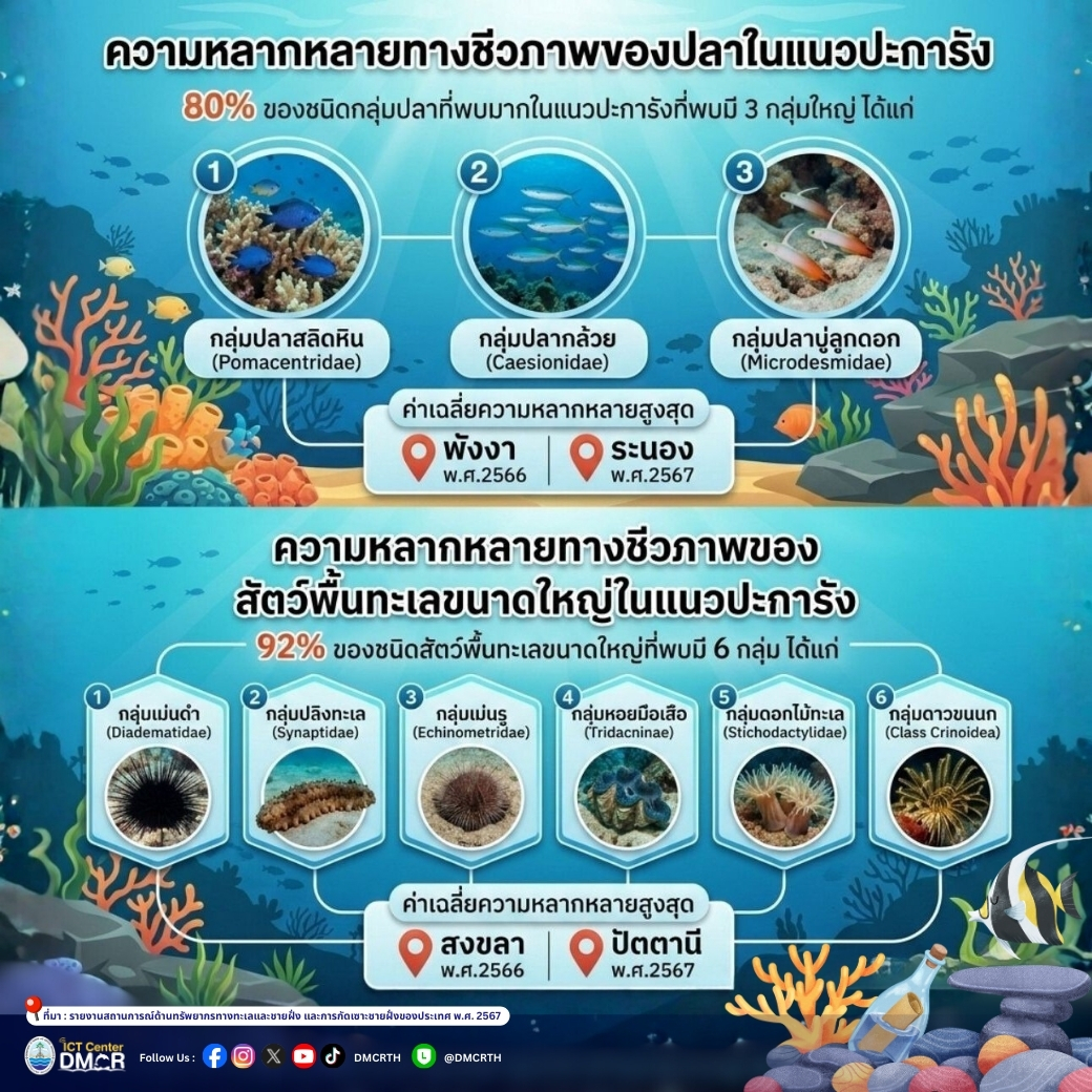 ส่องความหลากหลายทางชีวภาพ "ปลาและสัตว์พื้นทะเล" ในแนวปะการังไทย ปี 2566-2567