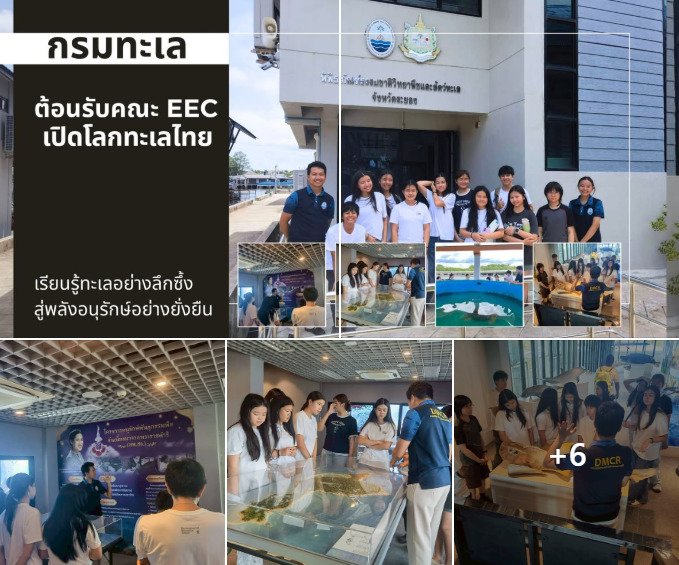 กรมทะเล ต้อนรับคณะ EEC เปิดโลกทะเลไทย เรียนรู้ทะเลอย่างลึกซึ้ง สู่พลังอนุรักษ์อย่างยั่งยืน