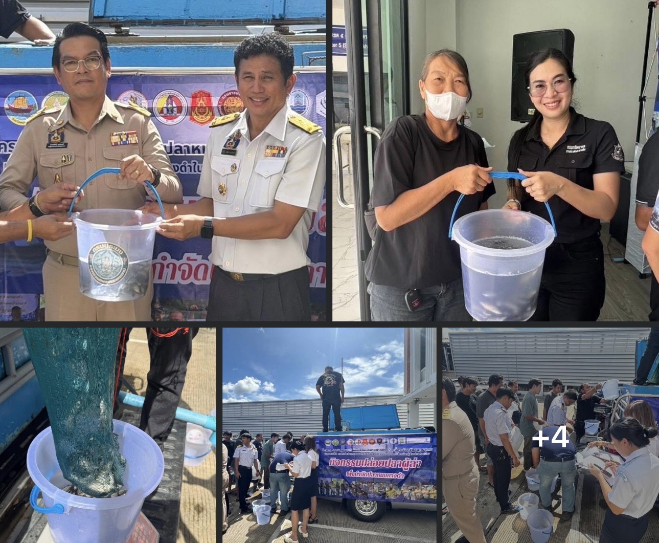 กรมทะเล จับมือ ประมงสมุทรสาคร มอบปลากะพงขาว 13,000 ตัว หนุนเกษตรกรสู้ภัยปลาหมอคางดำ คืนความสมดุลสู่ระบบนิเวศอย่างยั่งยืน