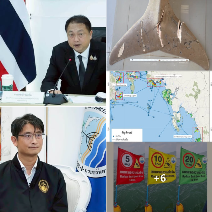 กรมทะเล ยกระดับมาตรการ “SAVE OUR DUGONG“ กำหนด 12 พื้นที่เสี่ยง เร่งจัดระเบียบเรือ–ปรับเครื่องมือประมง มุ่งลดการตายจากกิจกรรมมนุษย์เป็นศูนย์