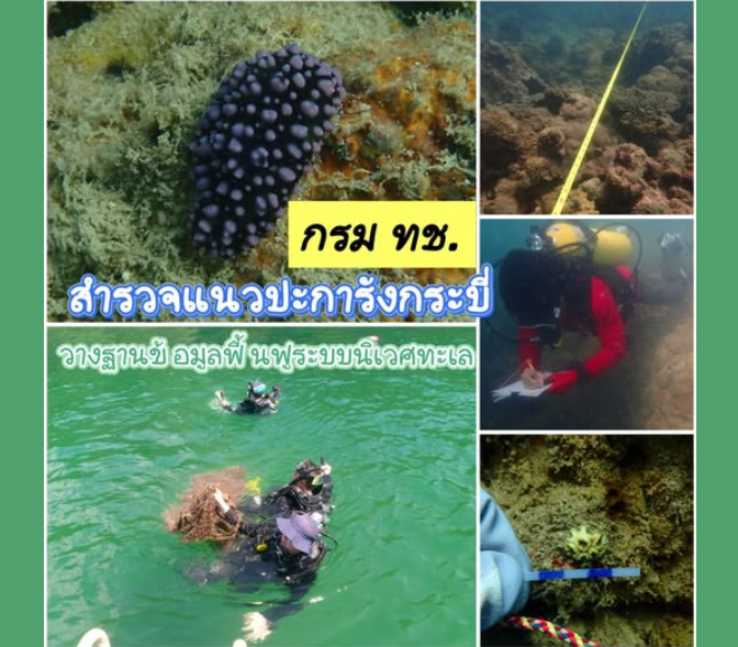 กรม ทช. สำรวจแนวปะการังกระบี่ พบผลกระทบฟอกขาวปี 2567 เร่งเก็บกู้เศษอวน วางฐานข้อมูลฟื้นฟูระบบนิเวศทะเล