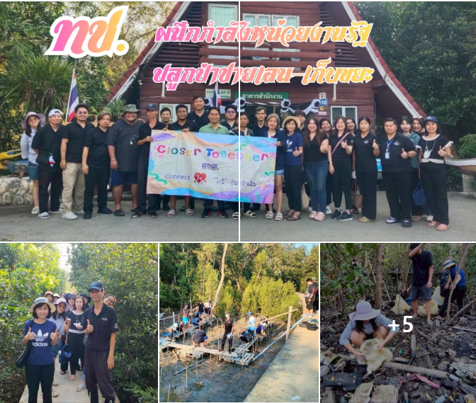 ทช. ผนึกกำลังหน่วยงานรัฐ ปลูกป่าชายเลน–เก็บขยะ เสริมพลังเครือข่ายอนุรักษ์ทรัพยากรชายฝั่งอย่างยั่งยืน
