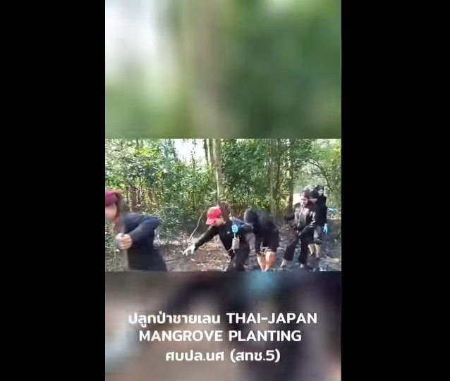ทช. ผนึกกำลังภาคีเครือข่ายปลูกป่าชายเลน 1,000 กล้า ฟื้นฟูระบบนิเวศชายฝั่งนครศรีธรรมราช