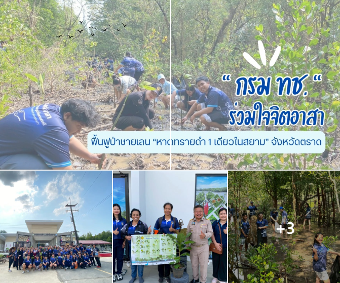 กรม ทช.  ร่วมใจจิตอาสา ฟื้นฟูป่าชายเลน “หาดทรายดำ 1 เดียวในสยาม” จังหวัดตราด