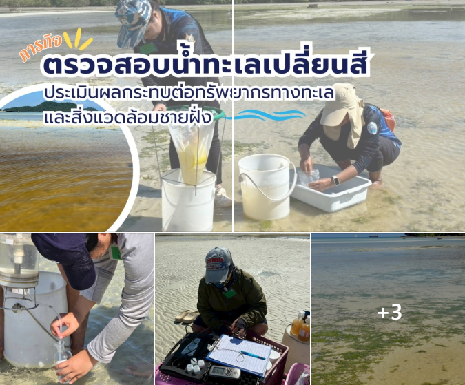 กรมทะเลชายฝั่ง ลงพื้นที่ตรวจสอบน้ำทะเลเปลี่ยนสี อ่าวตังเข็น จังหวัดภูเก็ต