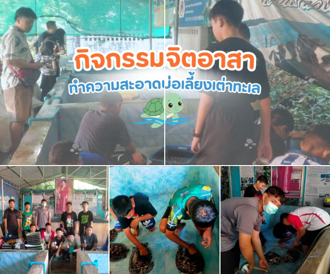กรมทะเล เสริมสร้างจิตสำนึกเยาวชน ร่วมกิจกรรมจิตอาสาดูแลเต่าทะเล จังหวัดสงขลา