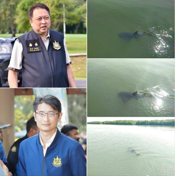 รองนายกฯ สุชาติ สั่งการเฝ้าระวัง “ปลาโรนิน” แบบมีส่วนร่วม เสริมระบบคุ้มครองสัตว์ทะเลหายาก