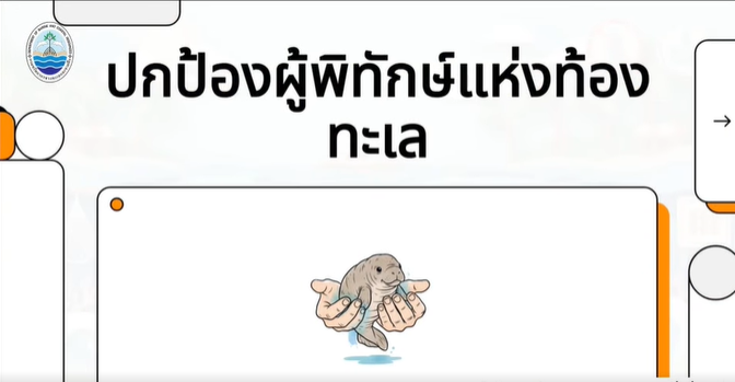 สำรวจพบ "น้องพะยูน" ในทะเลกระบี่อย่างต่อเนื่อง.. ดัชนีชี้วัดความอุดมสมบูรณ์ของท้องทะเลไทย