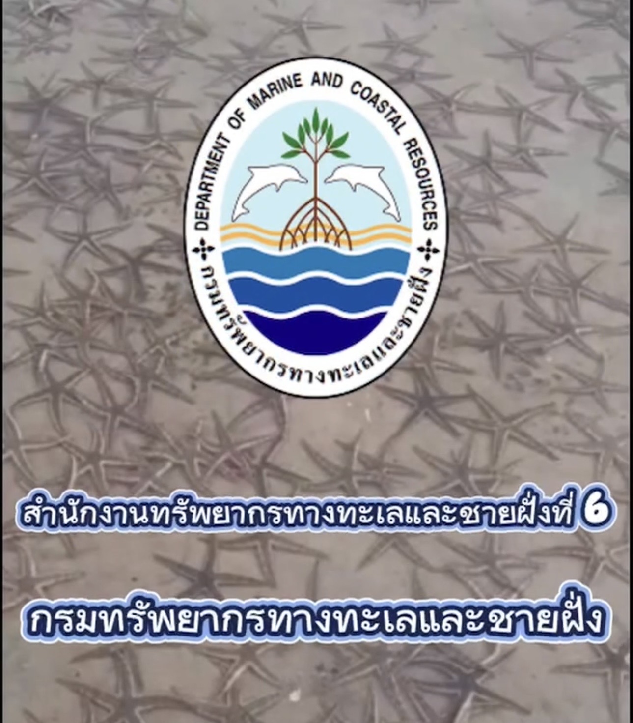กรมทะเล โดยสำนักงานทรัพยากรทางทะเลและชายฝั่งที่ 6 ศูนย์อนุรักษ์ทรัพยากรทางทะเลจังหวัดพังงา ส่วนอนุรักษ์ทรัพยากรทางทะเล ร่วมกับกองอนุรักษ์ทรัพยากรทางทะเล โดยเจ้าหน้าที่ส่วนฟื้นฟูทรัพยากรทางทะเล