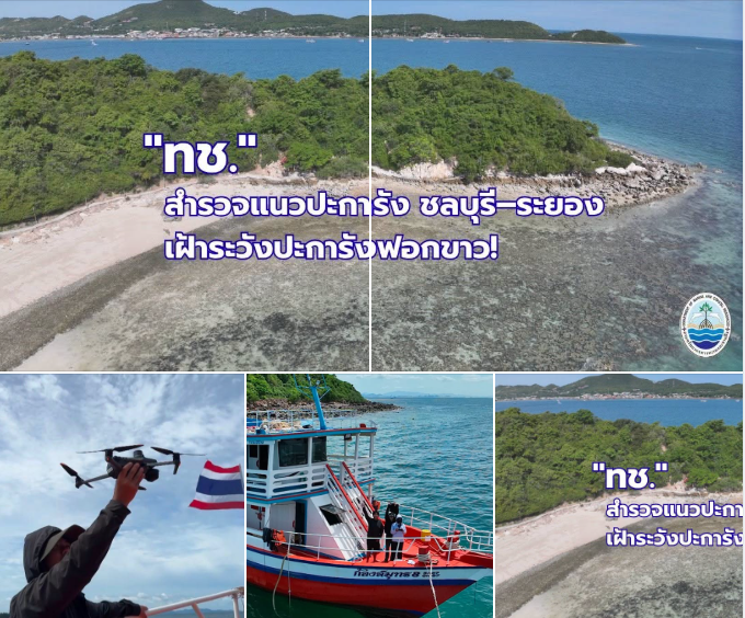 ทช. สำรวจแนวปะการัง ชลบุรี–ระยอง เฝ้าระวังปะการังฟอกขาว!