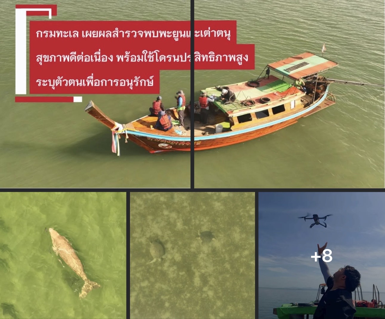 กรมทะเล เผยผลสำรวจพบพะยูนและเต่าตนุสุขภาพดีต่อเนื่อง พร้อมใช้โดรนประสิทธิภาพสูงระบุตัวตนเพื่อการอนุรักษ์