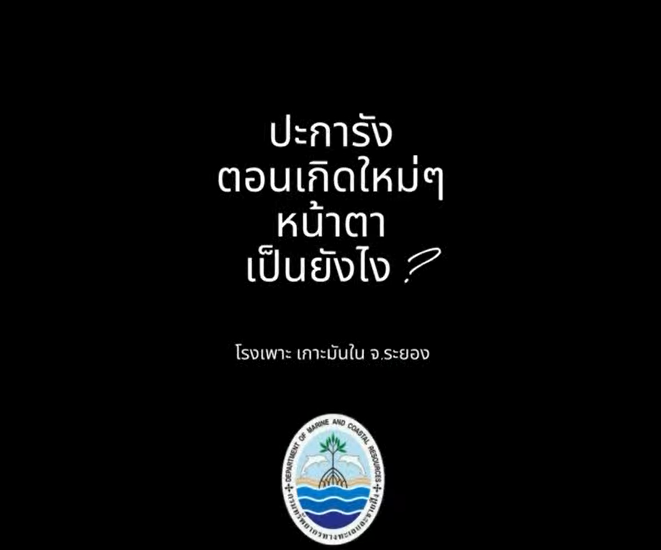 ปะการังเกิดใหม่หน้าตาเป็นยังไง? มาส่องความจิ๋วแต่แจ๋วกัน!