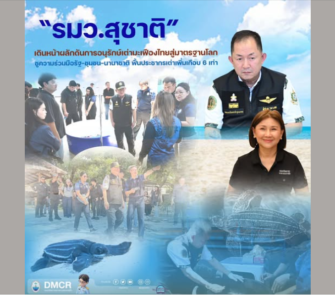 รมว.สุชาติ เดินหน้าผลักดันการอนุรักษ์เต่ามะเฟืองไทยสู่มาตรฐานโลก ชูความร่วมมือรัฐ–ชุมชน–นานาชาติ ฟื้นประชากรเต่าเพิ่มเกือบ 6 เท่า