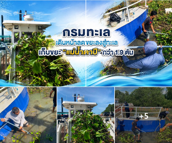 กรมทะเล เดินหน้าลดขยะลงสู่ทะเล เก็บขยะ “แม่น้ำตาปี” กว่า 1.9 ตัน