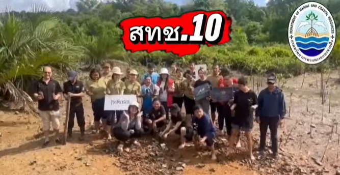 ทช. ผนึกกำลังภาคเอกชน ปลูกป่าชายเลนกระบี่ ฟื้นฟูระบบนิเวศ ลดคาร์บอน สร้างความยั่งยืนทางทะเล