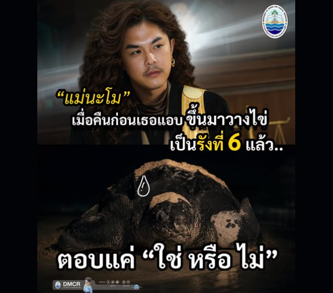 “แม่นะโม” เมื่อคืนเธอแอบขึ้นมาวางไข่เป็นรังที่ 6 แล้ว ตอบแค่ “ใช่” หรือ “ไม่”