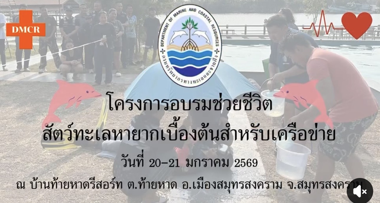 กรมทะเล เสริมทักษะเครือข่าย จัดอบรมช่วยชีวิตสัตว์ทะเลหายากเกยตื้นเบื้องต้น