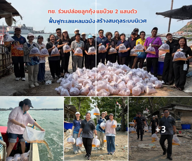 ทช. ร่วมปล่อยลูกกุ้งแชบ๊วย 2 แสนตัว ฟื้นฟูทะเลแหลมฉบัง สร้างสมดุลระบบนิเวศ