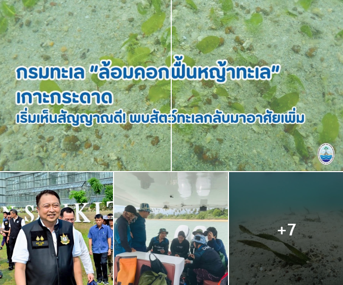 กรมทะเล ขานรับนโยบาย “รมว.ทส.” เดินหน้าลดผลกระทบระบบนิเวศทางทะเล ติดตามฟื้นฟูหญ้าทะเลเกาะกระดาด จังหวัดตราด