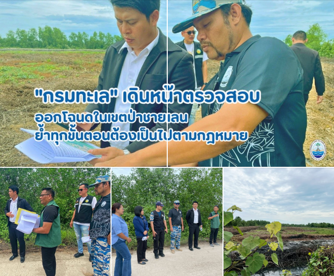 กรมทะเลเดินหน้าตรวจสอบพื้นที่ขอออกโฉนดในเขตป่าชายเลน จ.สุราษฎร์ธานี ย้ำทุกขั้นตอนต้องเป็นไปตามกฎหมาย