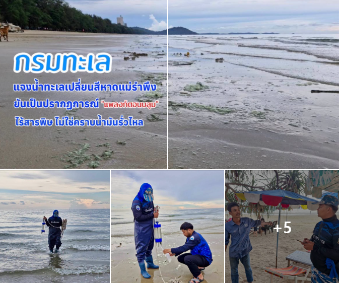 กรมทะเล แจงน้ำทะเลเปลี่ยนสีหาดแม่รำพึง ยันเป็นปรากฏการณ์ “แพลงก์ตอนบลูม” ไร้สารพิษ ไม่ใช่คราบน้ำมันรั่วไหล